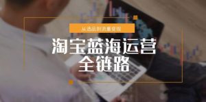 淘宝蓝海运营全链路,从选品到流量变现,小类目突围完整方案-庄子聊项目