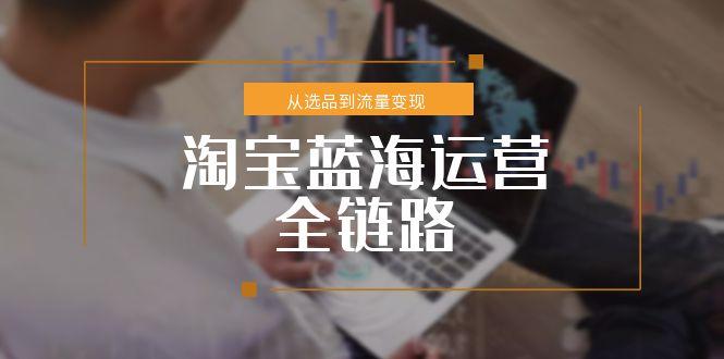 淘宝蓝海运营全链路，从选品到流量变现，小类目突围完整方案-庄子聊项目
