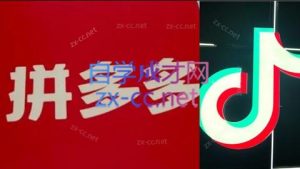 老陶电商·拼多多+抖音小店无货源开店(更新6月)-庄子聊项目