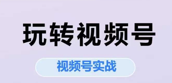 玩转视频号，视频号实战系列课-庄子聊项目