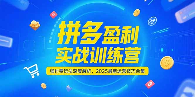 拼多多盈利实战训练营，强付费玩法深度解析，2025运营技巧合集-更新6月-庄子聊项目