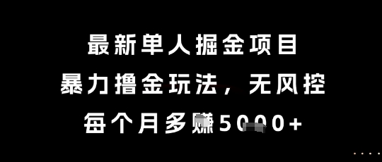最新单人掘金项目，暴力撸金玩法，无风控，每个月多挣5k+【揭秘】-庄子聊项目