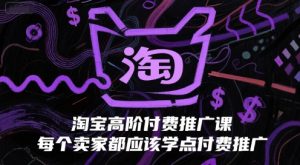 淘宝高阶付费推广课，每个卖家都应该学点付费推广-庄子聊项目
