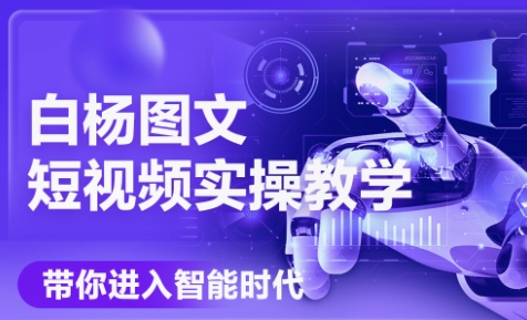 白杨老师·Ai图文短视频实操课(更新6月)-庄子聊项目