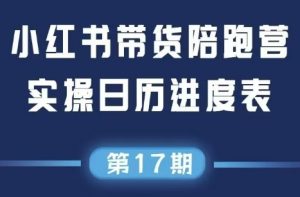 盗坤·抖音小红书视频号短视频带货与直播变现(11-17期)-庄子聊项目