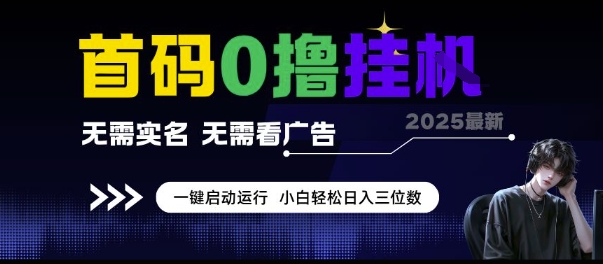 首码0撸挂G项目，无需实名无需看广告 一键启动运行，小白轻松日入三位数【揭秘】-庄子聊项目