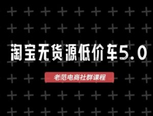 淘宝无货源2025VIP教程，​最新的淘宝无货源课程，1688代发，蓝海选品，零成本创业首选-庄子聊项目