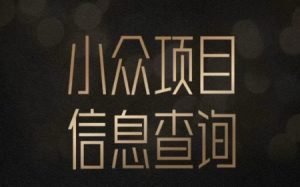 小众蓝海项目情感查询，女粉暴力掘金，轻松日入500+【揭秘】-庄子聊项目