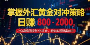 掌握外汇黄金对冲策略,日赚 800 – 2000,小众高回报创业机会,助你实…-庄子聊项目