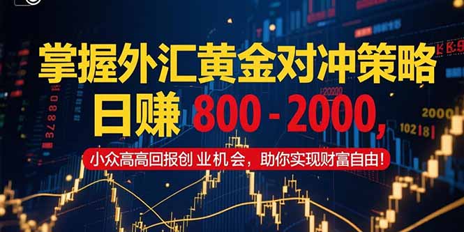 掌握外汇黄金对冲策略，日赚 800 – 2000，小众高回报创业机会，助你实…-庄子聊项目