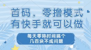 首码零撸项目，有快手就可以做，每天业务时间搞个几张不是问题【揭秘】-庄子聊项目