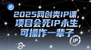 2025网创类IP课，项目会死IP永生，可操作一辈子-庄子聊项目