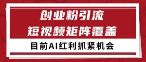 创业粉精准引流 CY赛道引流获客 自热矩阵SOP日引200+-庄子聊项目