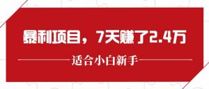 最新暴利项目,每单收益轻松在300以上,7天赚了2.4万-庄子聊项目