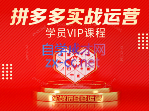 推易电商·拼多多实战运营课(更新2025月)-庄子聊项目