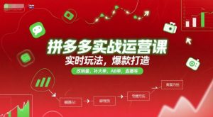 拼多多实战运营课，实时玩法，爆款打造，改销量，补大单，AB单，直播等(更新2025月)-庄子聊项目