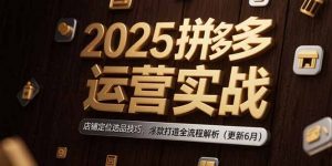 2025拼多多运营实战:店铺定位选品技巧,爆款打造全流程解析(更新6月-庄子聊项目