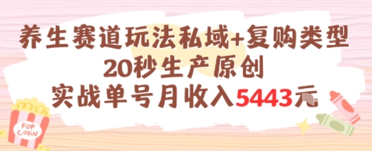 养生赛道玩法私域+复购类型，20秒生产原创实战单号月收入5k+-庄子聊项目