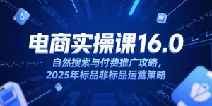 淘宝电商运营课16.0,自然搜索与付费推广攻略,2025年标品非标品运营策略-庄子聊项目