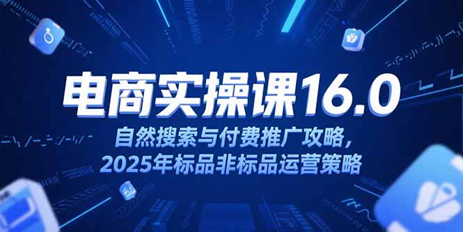 淘宝电商运营课16.0，自然搜索与付费推广攻略，2025年标品非标品运营策略-庄子聊项目