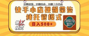 快手小店托管代运营,无需剪辑,无需选品,无需上传作品,全程无需操作,轻松月入5k+【揭秘】-庄子聊项目