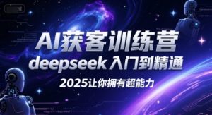 AI获客训练营,deepseek入门到精通,2025让你拥有超能力-庄子聊项目