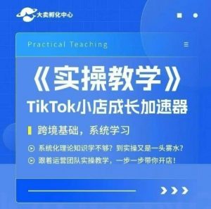 大卖家孵化中心TikTok实操课，TikTok小店成长加速器，跨境基础系统学习，一步一步带你开店-庄子聊项目