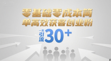 零基础零成本简单高效获客创业粉，一天引流30+-庄子聊项目