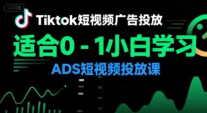 Tiktok短视频广告投放，适合0-1小白学习ADS短视频投放课-庄子聊项目