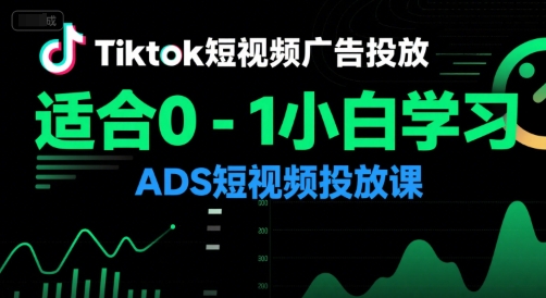 Tiktok短视频广告投放，适合0-1小白学习ADS短视频投放课-庄子聊项目