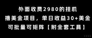 外面收费2980的挂G撸美金项目，单日收益30+美金，可批量可矩阵【揭秘】-庄子聊项目