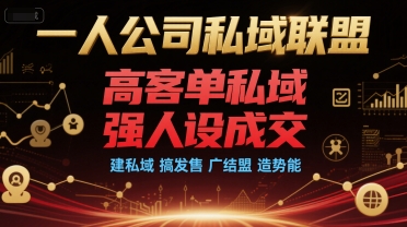 一人公司私域联盟，高客单私域，强人设成交，建私域 搞发售 广结盟 造势能-庄子聊项目