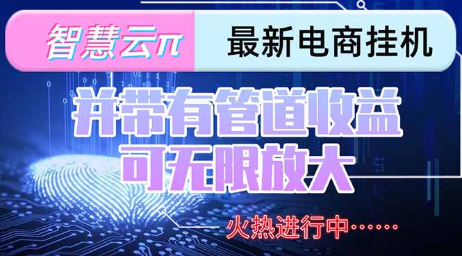 智慧云π电脑挂机单机每天收益300—500+ 并带有团队管道收益 可无限放大-庄子聊项目