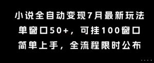 小说全自动变现7月玩法，单窗口50+，可挂100窗口，简单上手，全流程限时公布【揭秘】-庄子聊项目