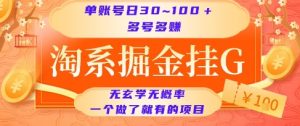 淘系掘金挂G项目，单账号日收益30~100+，多号多得，一个做了就有的项目【揭秘】-庄子聊项目