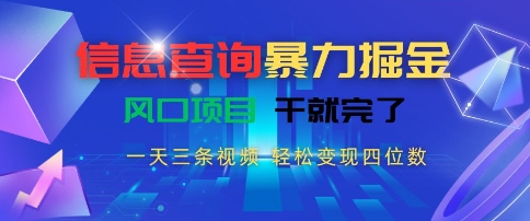 信息查询暴力掘金，一天三条视频，轻松变现四位数，风口项目干就完了【揭秘】-庄子聊项目