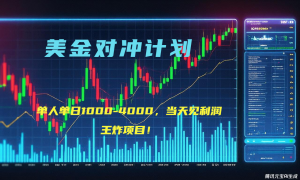 2025年最暴力项目“美金先登计划”最新最强对冲战法，每日实际收益1K-4K-庄子聊项目