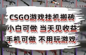 CSGO游戏挂G搬砖，小白纯手机即可操作，不用电脑打游戏，日入3张+，副业网创项目【揭秘】-庄子聊项目