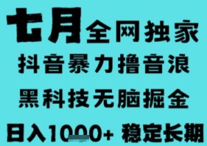 7月最新风口抖音无人直播撸音浪，长期稳定，非短期，全自动运行，低门槛无脑，日入1k+【揭秘】-庄子聊项目