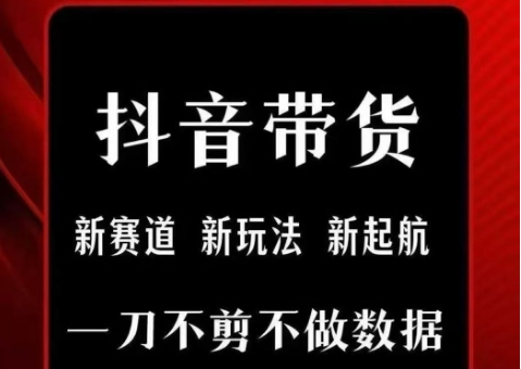 抖音短视频一刀不剪带货，不剪辑，不直播，每天发个视频，等着出单获取带货佣金-庄子聊项目