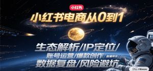 小红书电商从0到1：生态解析/IP定位/ 账号运营/爆款创作/直播带货/数据复盘/风险避坑-庄子聊项目