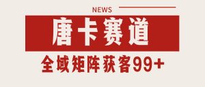 唐卡赛道私域引流获客 自热矩阵SOP日引流99+精准客资-庄子聊项目
