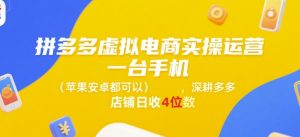 拼多多虚拟电商实操运营,一台手机(苹果安卓都可以),深耕多多店铺日收4位数-庄子聊项目