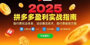 拼多多盈利实战指南,强付费玩法,活动爆流技术,微付费破局方案(更新7月-庄子聊项目
