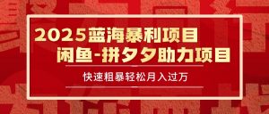 2025 最新闲鱼蓝海暴利项目 快速粗暴单号日入1000+，保姆级教程-庄子聊项目