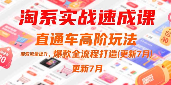 淘系实战速成课，直通车高阶玩法，搜索流量提升，爆款全流程打造(更新7月-庄子聊项目