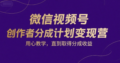 微信视频号创作者分成计划变现营，用心教学，直到取得分成收益-庄子聊项目