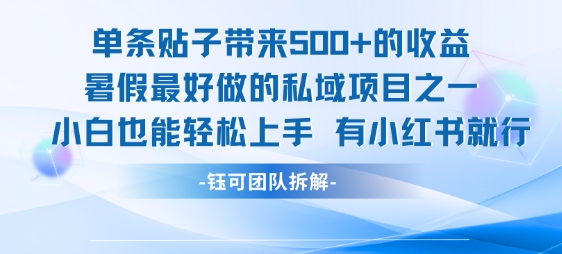 单条贴子带来5张的收益，暑假最好做的私域项目之一，小白也能轻松上手，有小红书就行-庄子聊项目