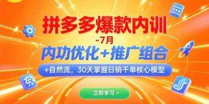 拼多多爆款内训-7月 内功优化+推广组合+自然流 30天掌握日销千单核心模型-庄子聊项目