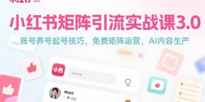 小红书矩阵引流实战课3.0：账号养号起号技巧，免裴矩阵运营，AI内容生产-庄子聊项目